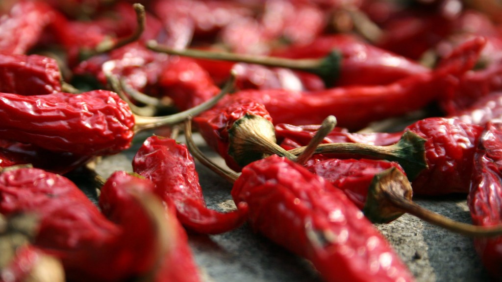 fruit of Cayenne (Capsicum annuum) partially dries