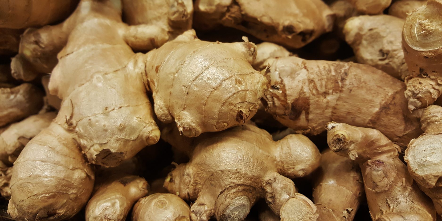 Ginger (Zingiber officinale) root
