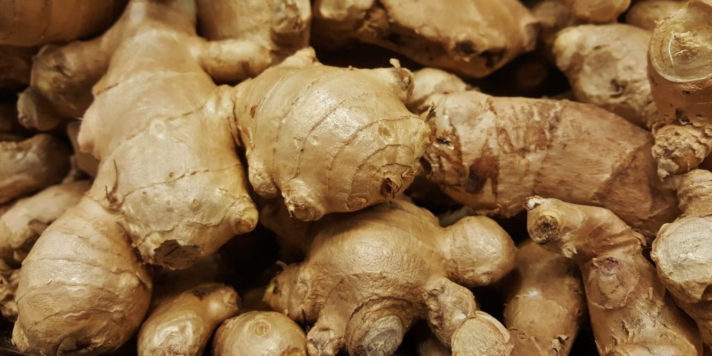 Ginger (Zingiber officinale) root
