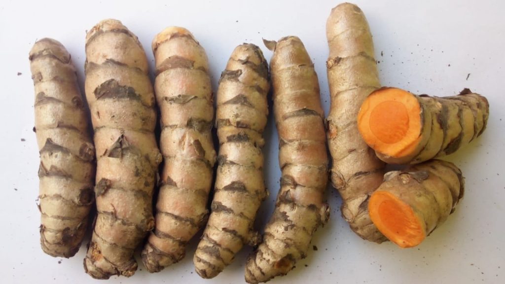 Turmeric (Curcuma longa) one has been cut open to show inside