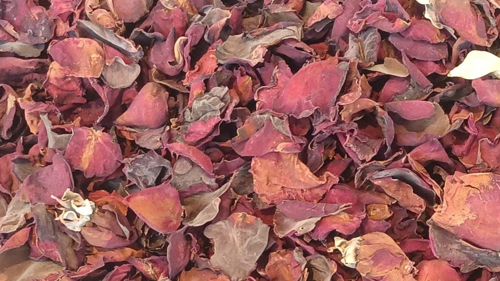 Dries rose petals