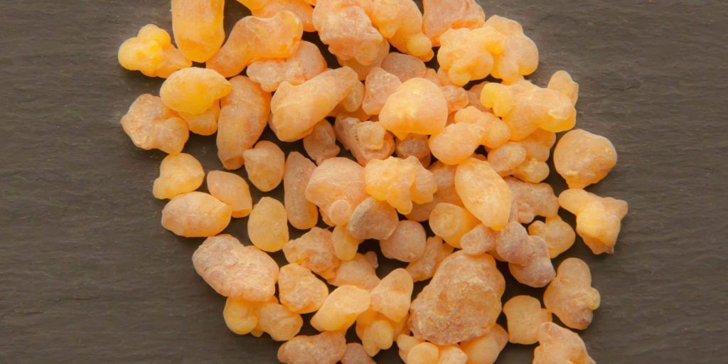 Frankincense (Boswellia spp.) resin