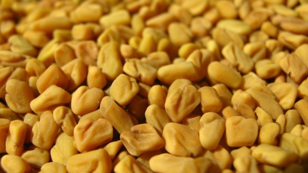 Fenugreek (Trigonella foenum-graecum) seeds